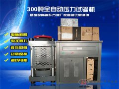 300噸全自動(dòng)恒應(yīng)力壓力試驗(yàn)機(jī)DYE-3000D型電液伺服